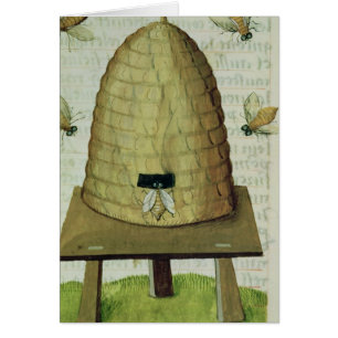 Colmena y abejas
