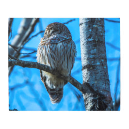 Colocado en 24 x 20 arte mural Metalizado