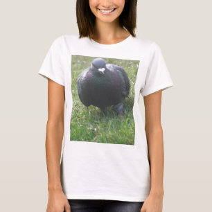 Colocando Camisetas De Chicas