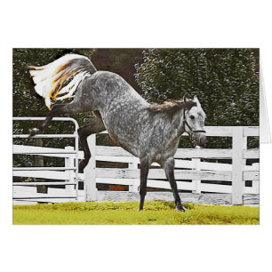 Colocando los talones