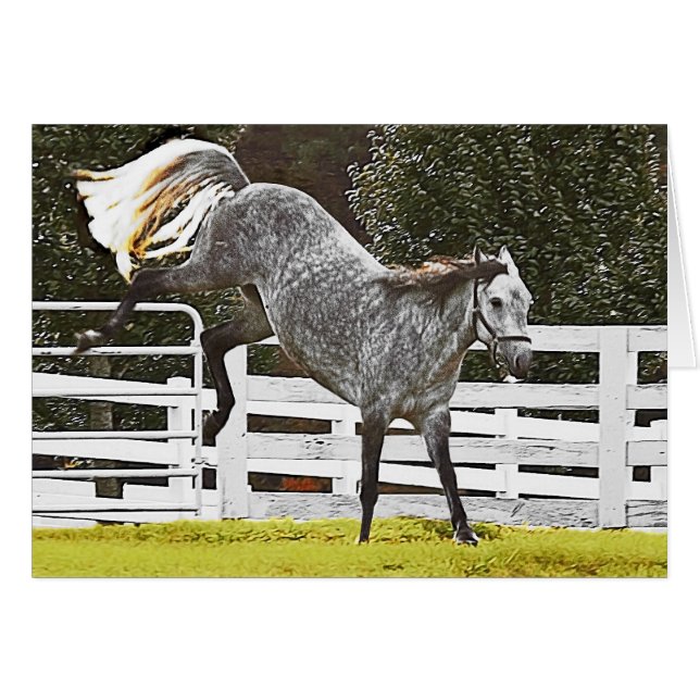 Colocando los talones (Anverso (Horizontal))