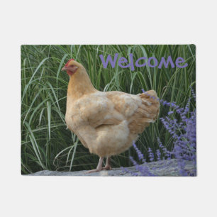 Colocar la alfombra de bienvenida de pollo