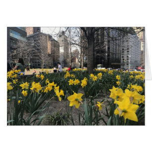 Colón Círculo Amarillo Flor Primavera NYC