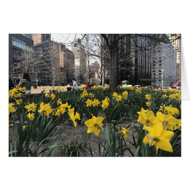 Colón Círculo Amarillo Flor Primavera NYC (Anverso (Horizontal))