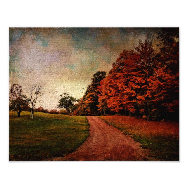 Color de impresión fotográfica (Frente)