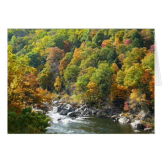 Color de la caída en el Parque Estatal Ohiopyle