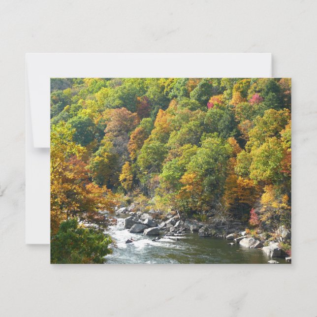 Color de la caída en el Parque Estatal Ohiopyle (Anverso)