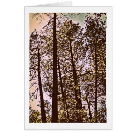 color de los árboles