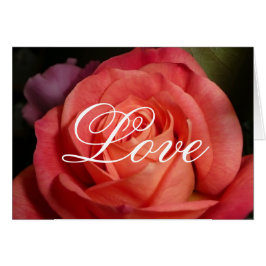 Color de rosa anaranjado