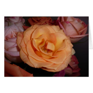 Color de rosa anaranjado