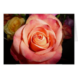 Color de rosa anaranjado