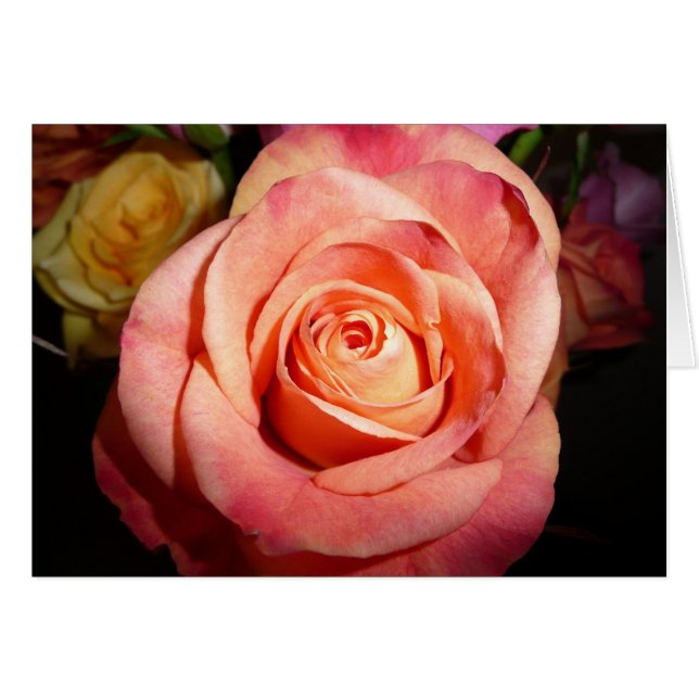 Color de rosa anaranjado (Anverso (Horizontal))