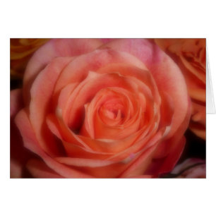Color de rosa anaranjado