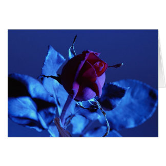Color de rosa azul