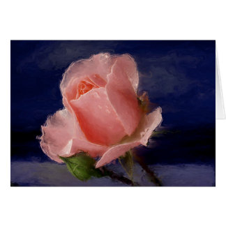 Color de rosa de medianoche