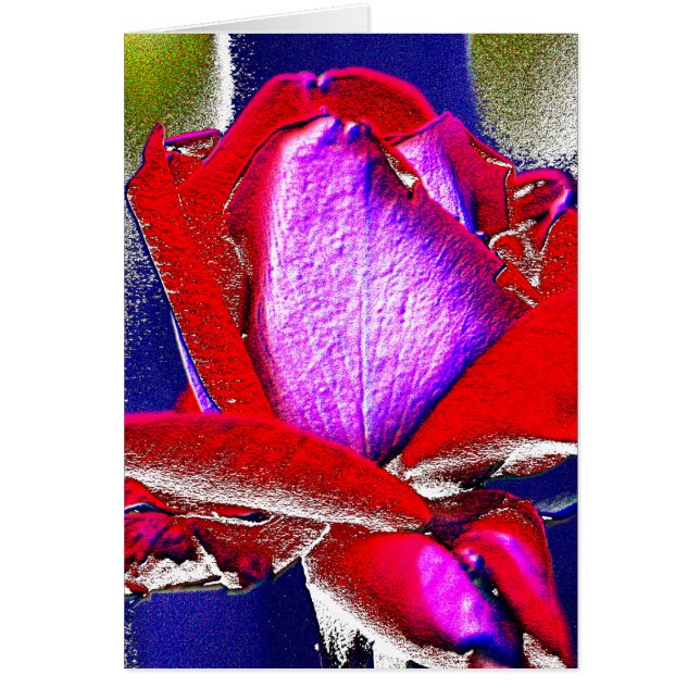 Color de rosa de neón (Frente)