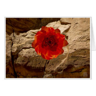 Color de rosa de piedra de Chaco