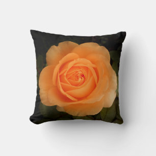 Color de rosa rasante del ámbar - almohada
