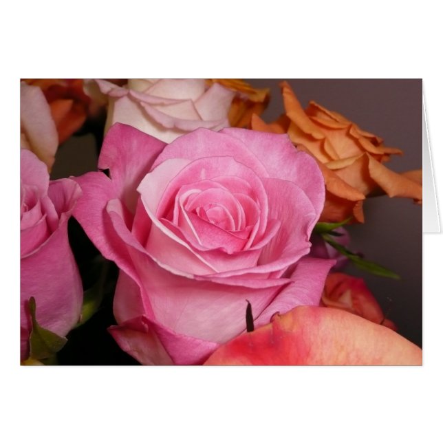 Color de rosa rosado (Anverso (Horizontal))