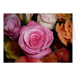 Color de rosa rosado