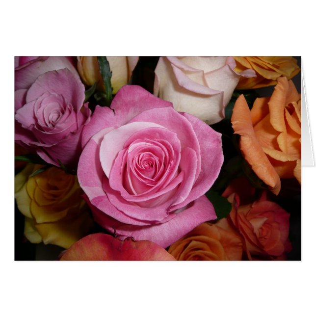 Color de rosa rosado (Anverso (Horizontal))