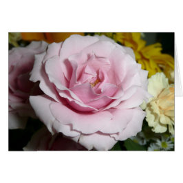 Color de rosa rosado