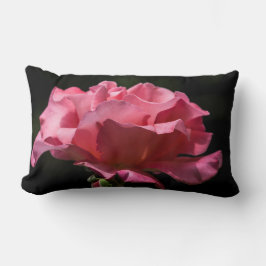 Color de rosa rosado en el Cojín decorativo negro