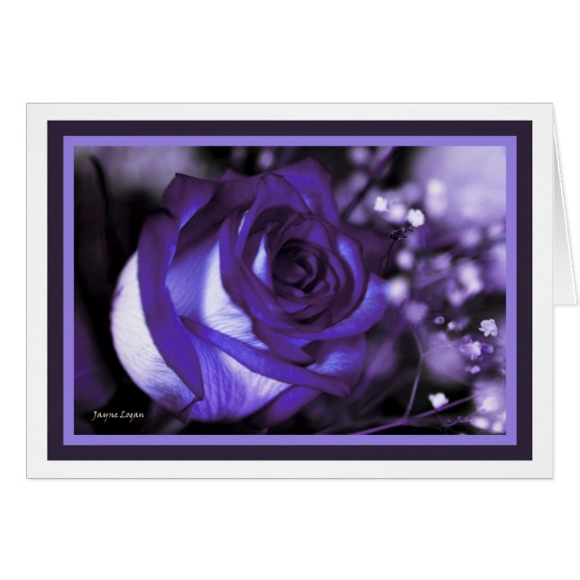 ¡color de rosa violeta imponente! Tarjeta en (Anverso (Horizontal))