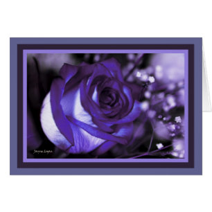 ¡color de rosa violeta imponente! Tarjeta en