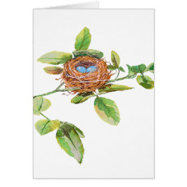 Color de rosa y empavesado