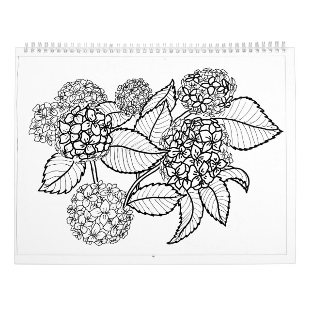 Color de su calendario de color (Reverso)