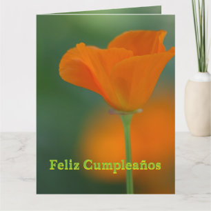 Color del en de los lux de Tarjeta - de Feliz
