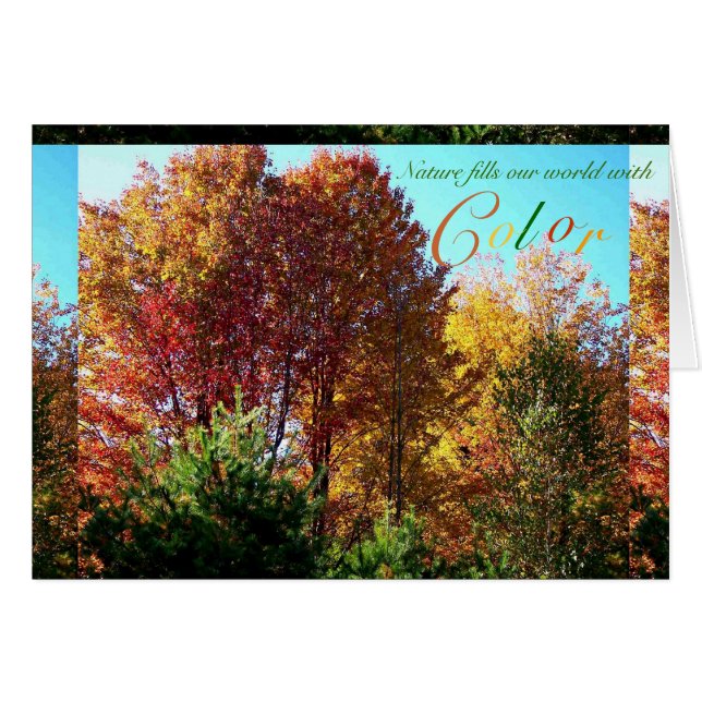 Color del follaje (Anverso (Horizontal))