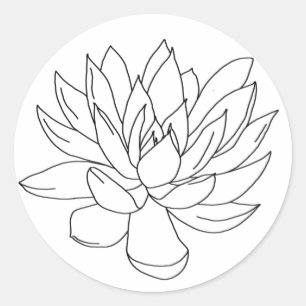 color en sus propios pegatinas - succulents