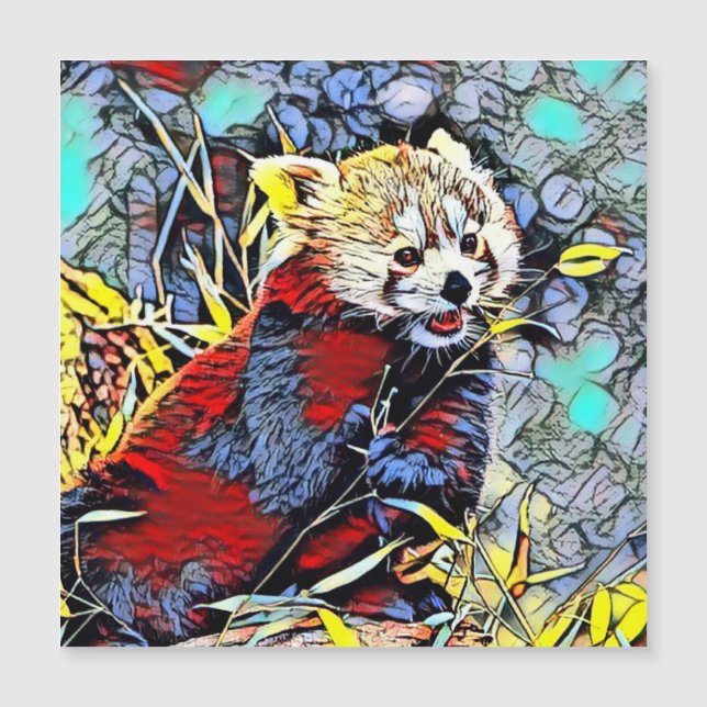 Color Kick - Panda rojo (Anverso)