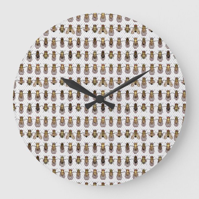 Color neutro Reloj Drosophila