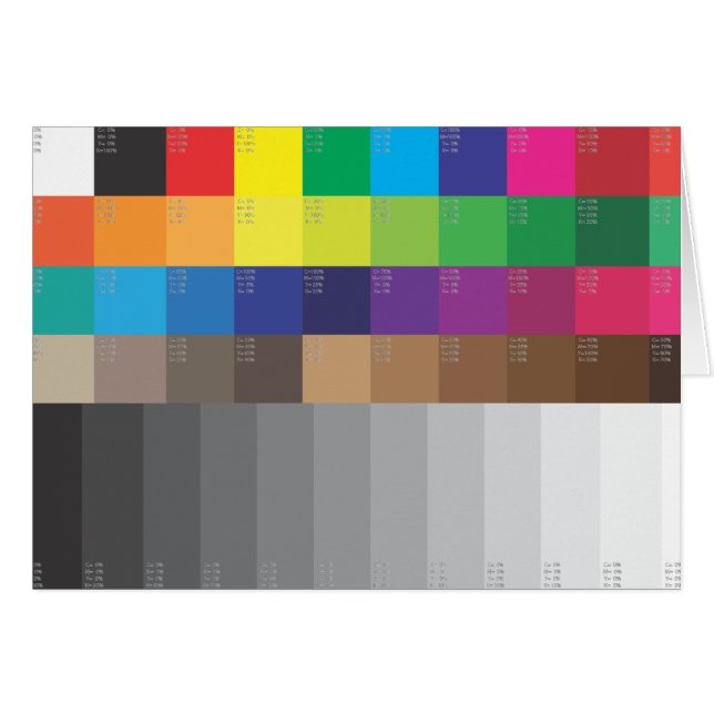 COLOR SWATCH Y ESCALA GRIS (Anverso (Horizontal))