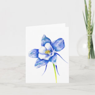 Colorado Blue Columbine Blank