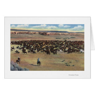 Colorado - redondeo de los vaqueros