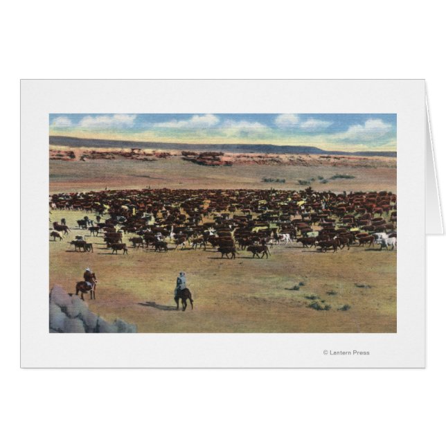 Colorado - Rounding Cowboys (Anverso (Horizontal))