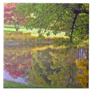 COLORES BONITOS/DE BELLEZA DE BALDOSAS CERAMICAS R