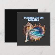 Colores Comunes de Conchas Marinas