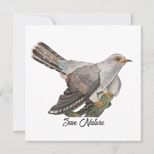 Colores de agua pintando un cuco (Anverso)