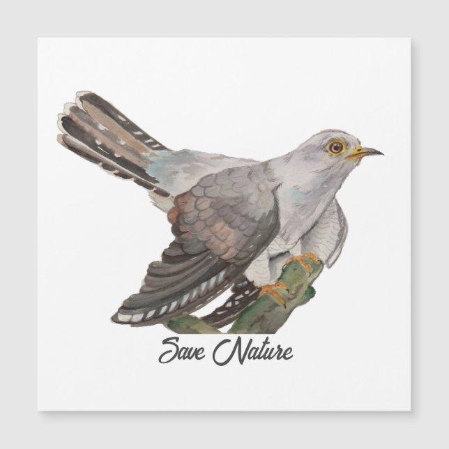 Colores de agua pintando un cuco (Anverso)