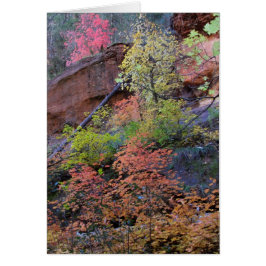 Colores de caída por todas partes