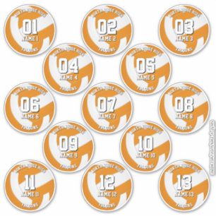 colores de equipo naranja pegatinas de voleibol 13