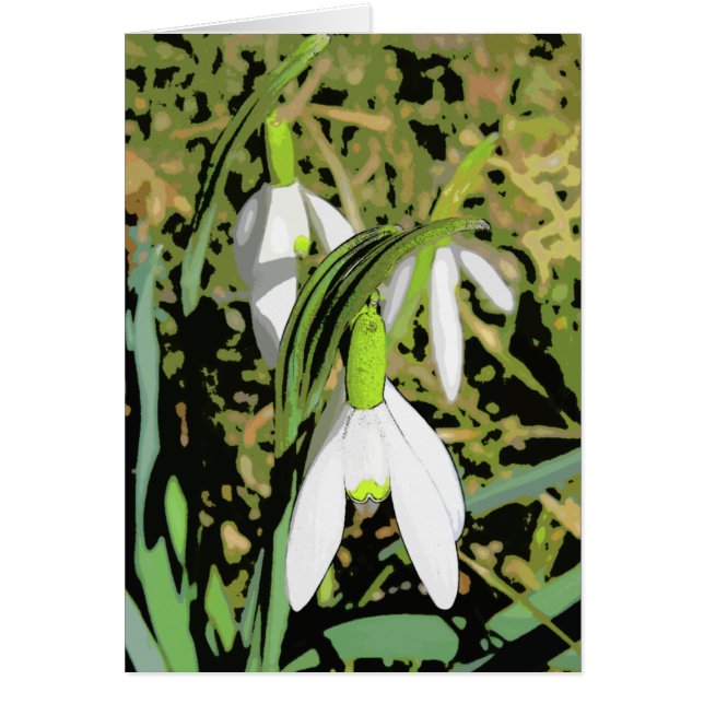 Colores de la primavera (Frente)