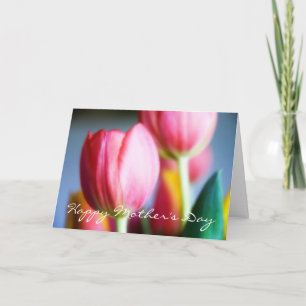 Colores de la primavera • Tarjeta de felicitación
