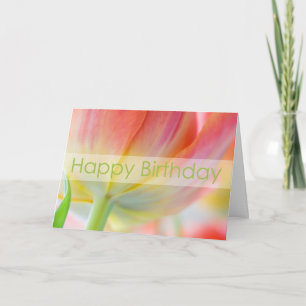 Colores de la tarjeta de cumpleaños de la