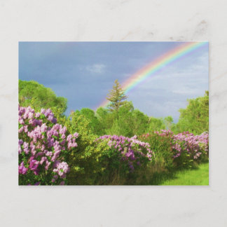 colores de la tarjeta de naturaleza